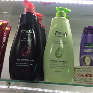 Dầu gội đầu Fresh