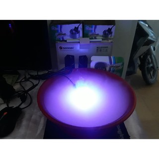 Máy tạo khói hồ cá 12 đèn led
