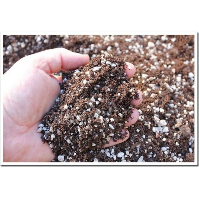 Đất trộn sẳn trồng sen đá, xương rồng- 1kg [mix 6 thành phần- Đất akadama giúp lên màu đẹp]
