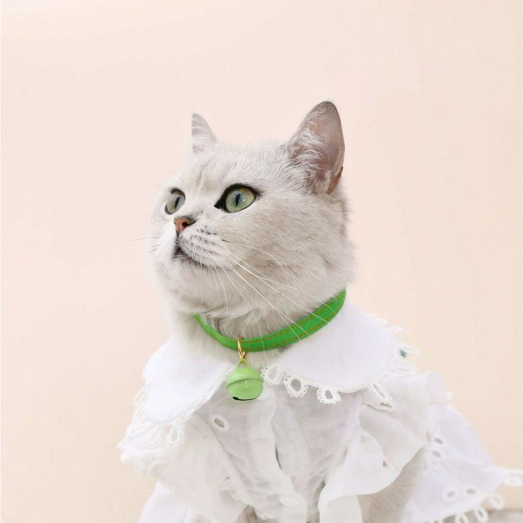 Vòng Cổ Có Chuông Nhiều Màu Cho Thú Cưng