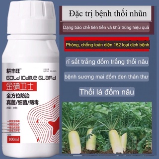 Thuốc chống thối nhũn, rỉ sắt, sương mai, đốm nâu Trung Quốc 100ml