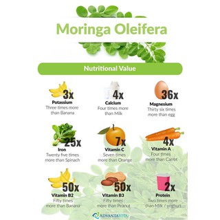 [MoriS] Bột chùm ngây sấy lạnh 100gr