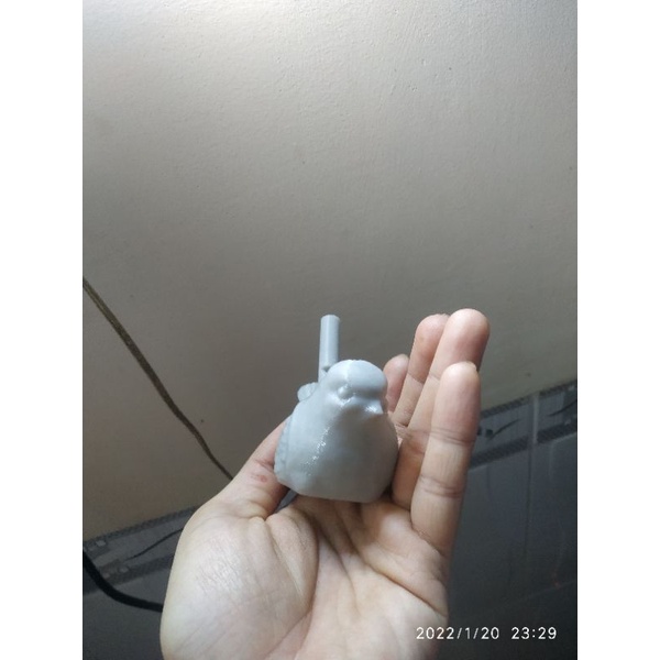 Sáo nước hình chim