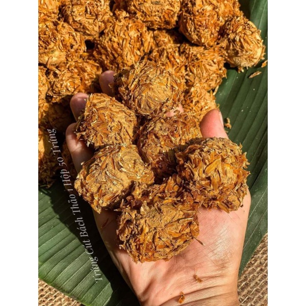 Trứng Cút Bắc Thảo 50 trứng