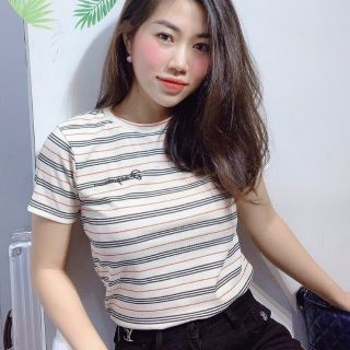 Áo thun tăm zip kẻ sọc thêu chữ loại 1