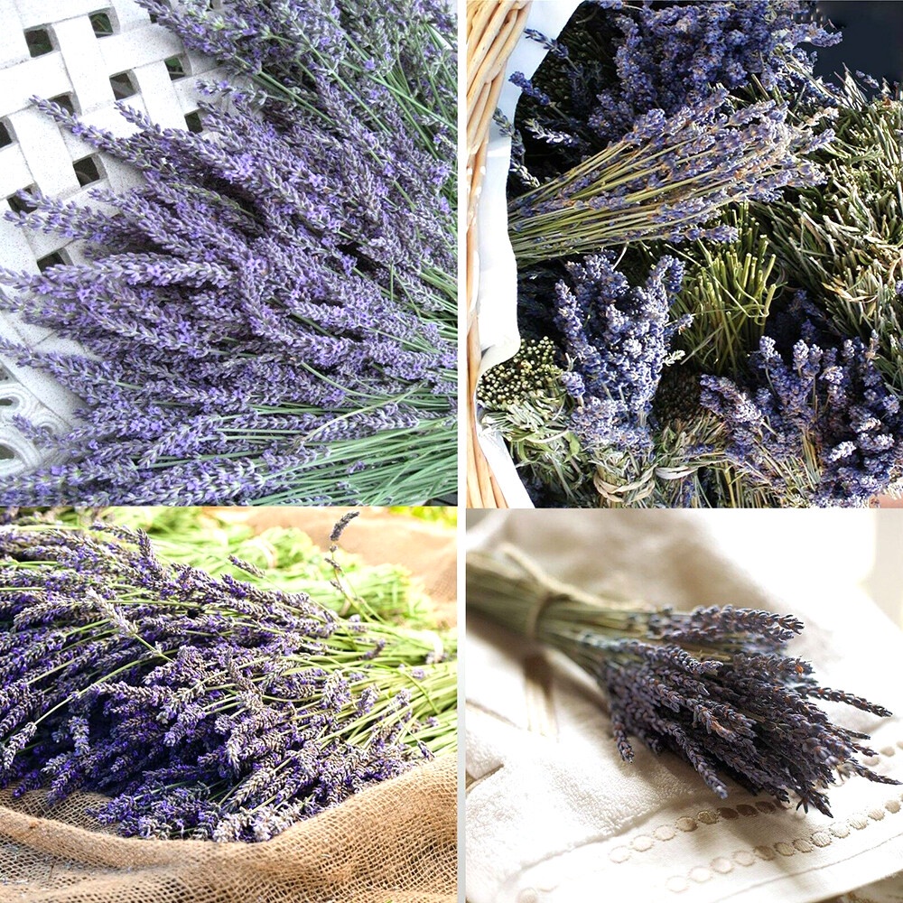 Bó hoa khô hoa lavender 88g nhập khẩu trang trí decor nhà cửa quán cà phê siêu thơm lãng mạn