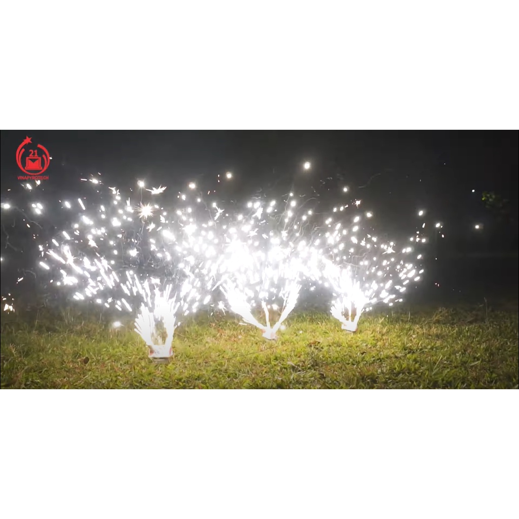 CÁNH HOA XOAY sinh nhật, mừng thọ, sự kiện, kỷ yếu, cưới hỏi (Nhà máy Z121, Tổng cục Công nghiệp Quốc phòng)