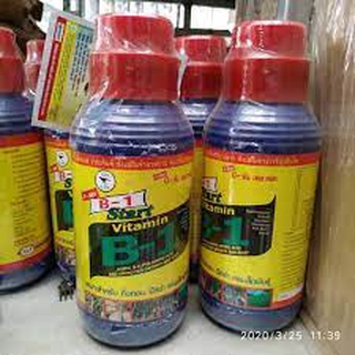 B1 thái lan chai 1 lít chuyên dùng cho hoa lan