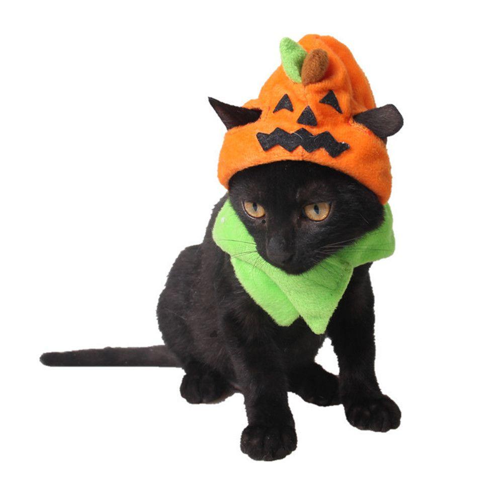 Trang PhụC Halloween Cho Thú Cưng Biến HìNh