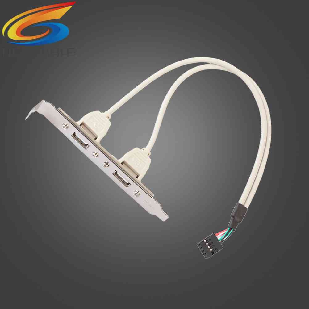 Cáp ChuyểN MạCh Chủ 2 CổNg USB 2.0 Sang 9 Pin Cho PC