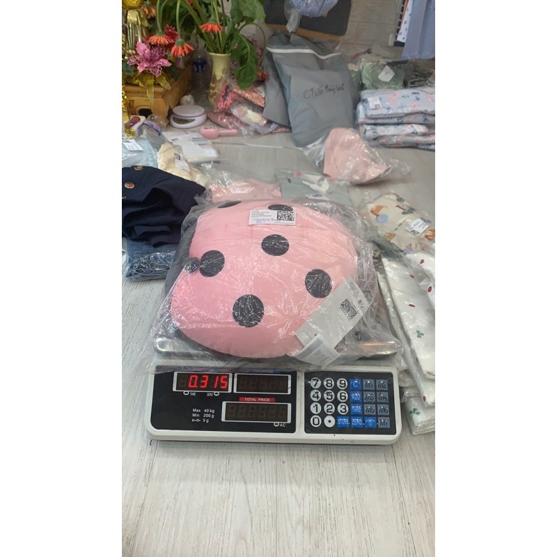 c gaumap dau xu