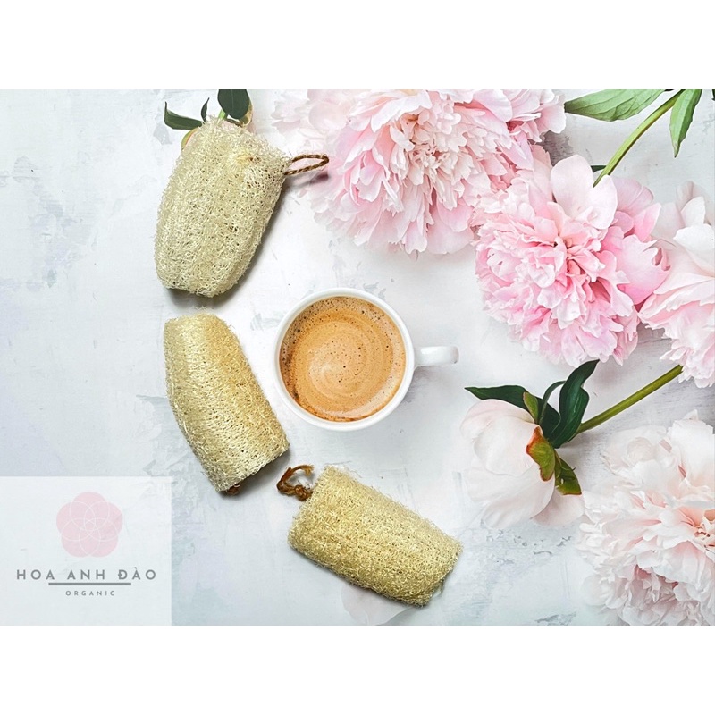 [SOAP NGHỆ MƯỚP ĐẮNG CAM] Xà Phòng Thực Vật Thủ công thương hiệu Hoa Anh Đào | BigBuy360 - bigbuy360.vn