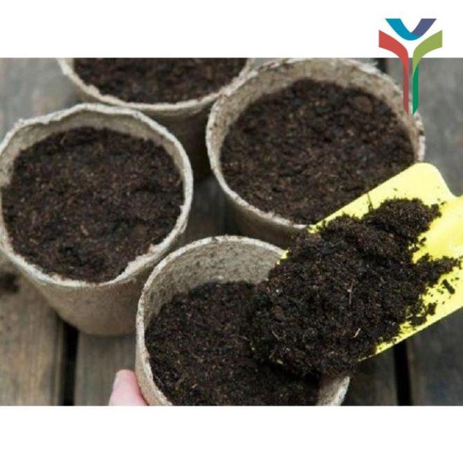 1Kg Đất sạch vi sinh siêu dinh dưỡng diệt trùng kháng khuẩn cực tốt chuyên dùng trồng Rau củ quả sạch - Cây cảnh - Hoa