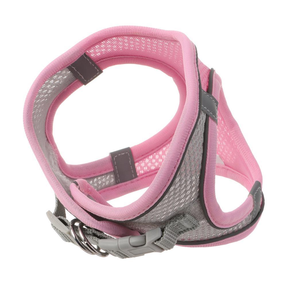 Dây Dắt Chó Chihuahua Phản Quang Tiện Dụng