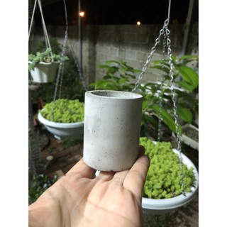 Chậu xi măng mini trồng sen đá