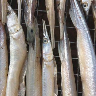 Khô Lìm Kìm loại Đại nước ngọt