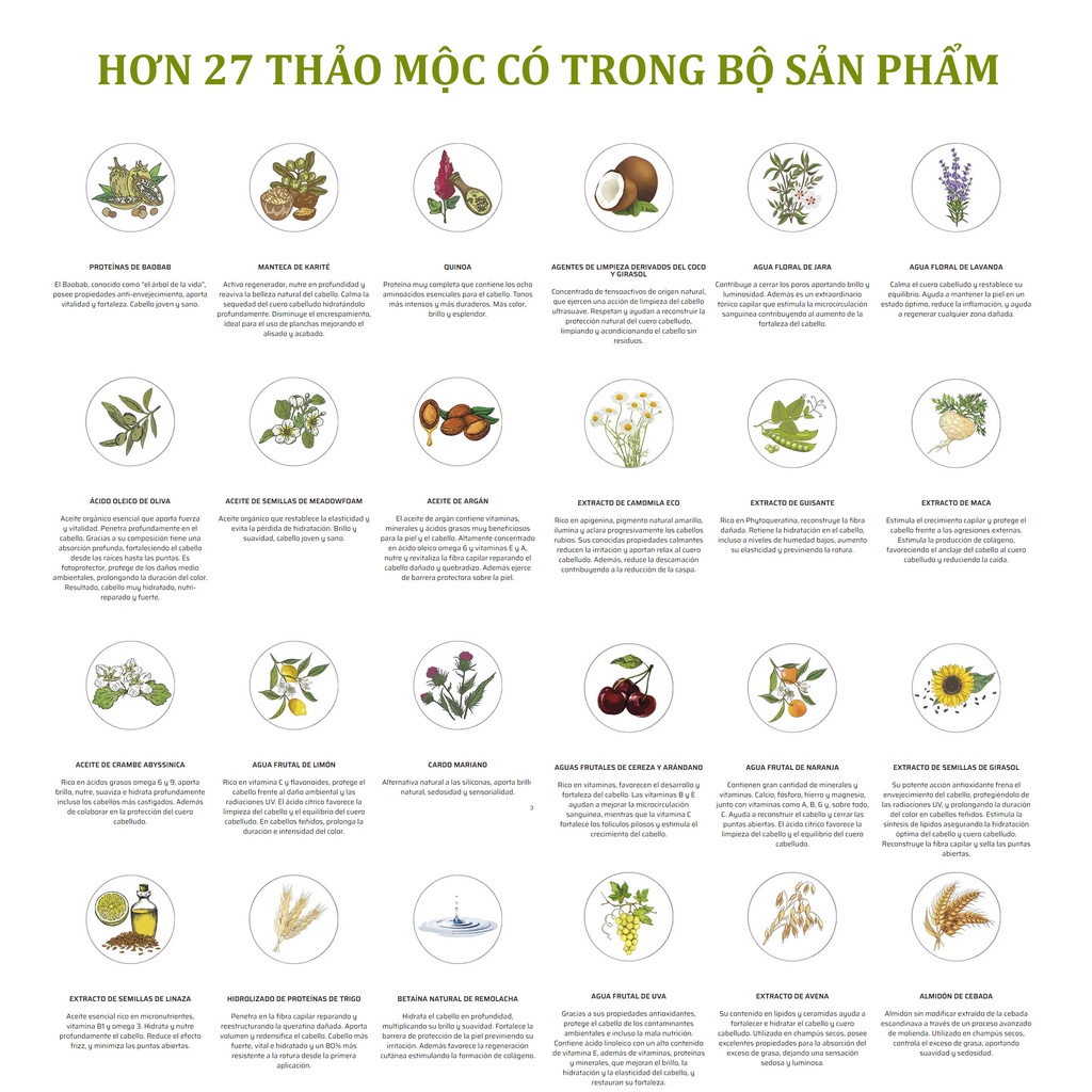 Gel nhuộm phủ bạc, dưỡng tóc với 27 thảo mộc Naturtint chính hãng Tây Ban Nha