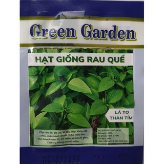 HÚNG QUẾ - LÁ TO THÂN TÍM - 2.5gr