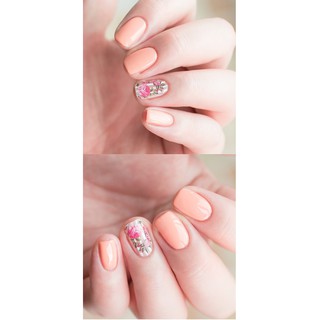 Set sơn móng tay 3CE PINK RUMOUR NAIL LACQUER KIT