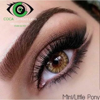 Kính áp tròng PONY