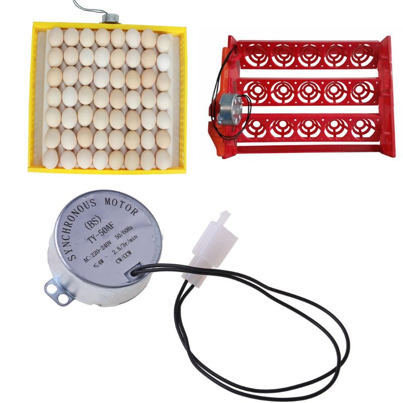 COLO  220V AC Chicken Eggs Turner Motor Components For Farm Hatcher Incubator Brooder