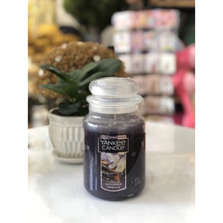 Nến Thơm Yankee Candle Lavender Vanilla_Nến thơm cao cấp Yankee Candle