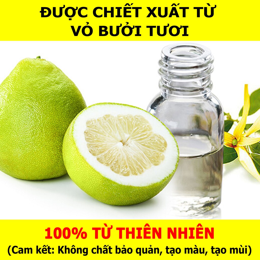 COMBO 2 LỌ 10ML _ Tinh Dầu Vỏ Bưởi VIDAME - Hương thơm dịu nhẹ, hỗ trợ mọc tóc