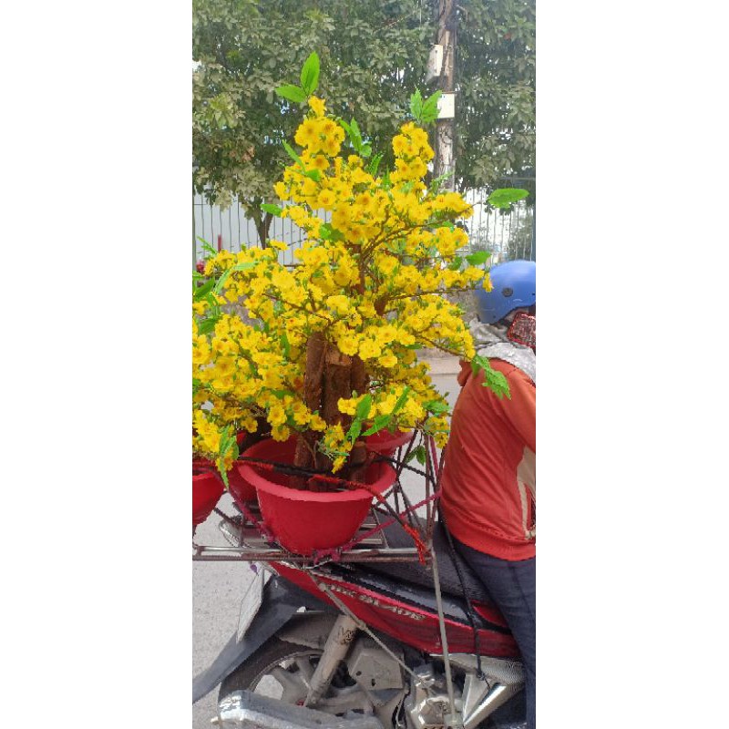 chậu hoa mai giả cao 1,3m