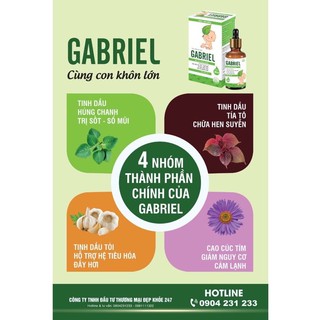 Tinh Dầu Húng Chanh Gabriel