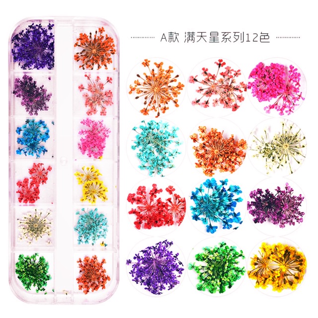 hoa khô nhí pháo bông trang trí 24 ô