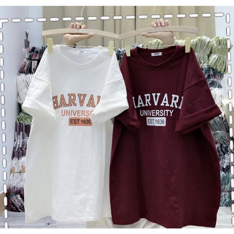 Áo phông cotton khô tay lỡ chữ Harvar