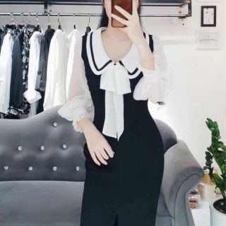 Váy cổ thắt nơ hàng thiết kế đủ size