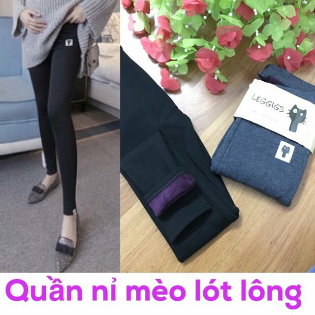 Quần nỉ mèo lót lông