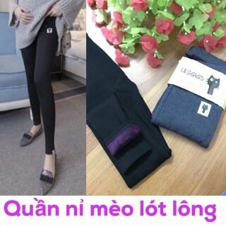 Quần nỉ mèo lót lông