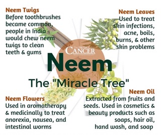 Trà lá Neem Ấn Độ