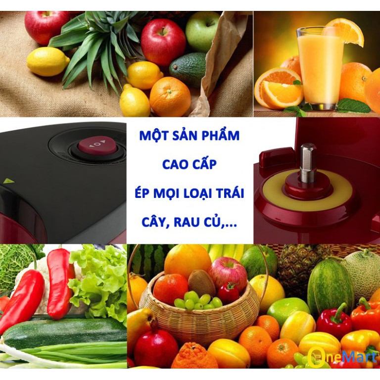 Máy ép trái cây tốc độ chậm SAVTM (Bảo hành 6 tháng động cơ)