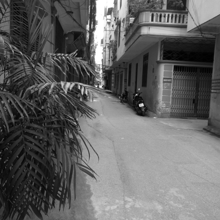 Máy ảnh Ricoh CX4 máy ảnh chụp đường phố