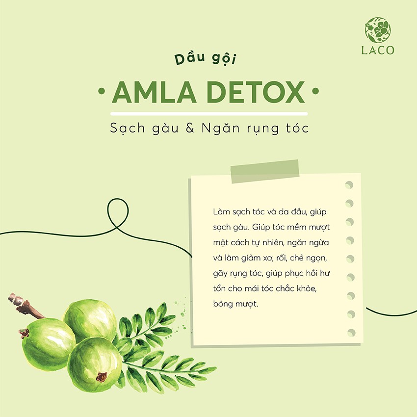 Dầu gội-Dầu xả Laco Amla Detox ngăn rụng tóc và kích thích mọc tóc sạch gàu hết ngứa giảm gãy rụng dưỡng tóc khoẻ mượt