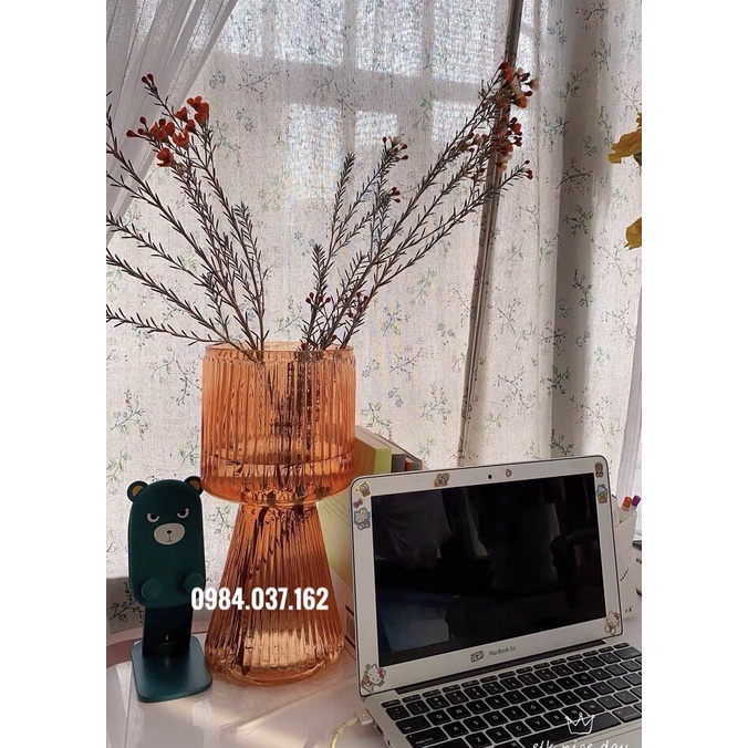 Bình Hoa Thủy Tinh Kẻ Sọc Phong Cách Bắc Âu - Lọ Hoa Thủy Tinh Đẹp