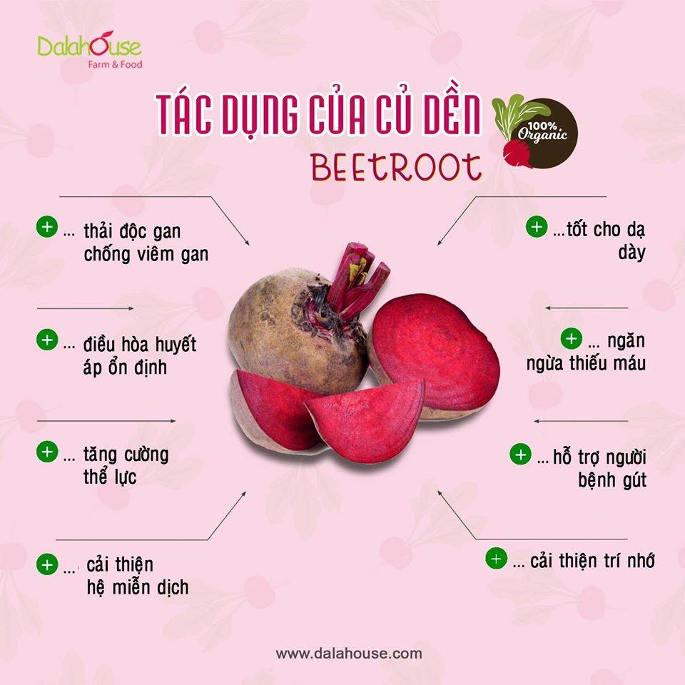 BỘT CỦ DỀN Dalahouse Hộp 60g x 20 gói nhỏ bổ sung chất sắt tự nhiên