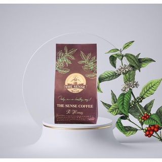 Cà phê nguyên chất - robusta honey - the sense coffee