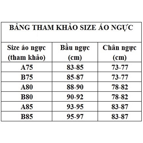 Áo ngực su nâng bàn tay chính hãng chất lượng loại 1 - áo ngực su đúc có gọng | BigBuy360 - bigbuy360.vn