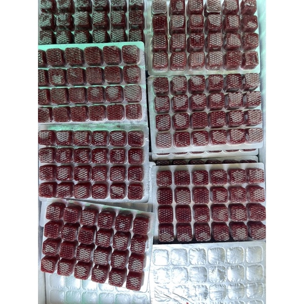 Trùng Huyết Vĩ - Chất Lượng Trùng Tốt - Thức Ăn Dinh Dưỡng cho Cá Cảnh