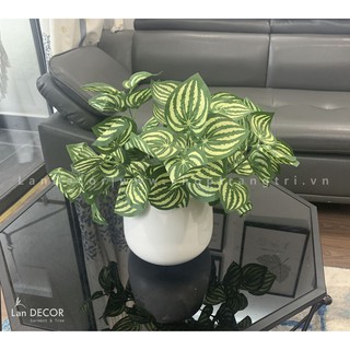 Cây giả - Cây lá sọc dưa hấu (45cm) để bàn, trang trí nhà LanDecor