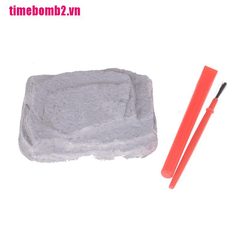 Đồ Chơi Thạch Khủng Long