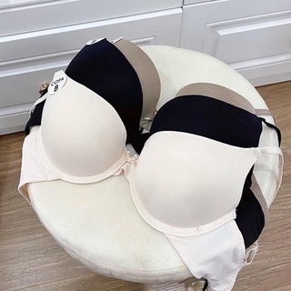 Áo Ngực 2 Dây 3 Màu