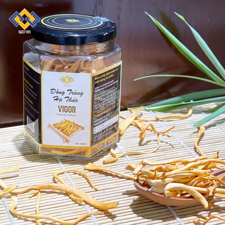 Đông trùng hạ thảo khô sấy thăng hoa cao cấp hộp 10g Vigor Toàn Tâm
