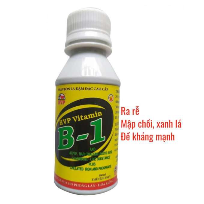 Phân Bón Lá Vitamin B1 HVP Kích Rễ, Kích Nẩy Chồi Chuyên Dùng Cho Hoa Lan, Cây Cảnh - 100ml