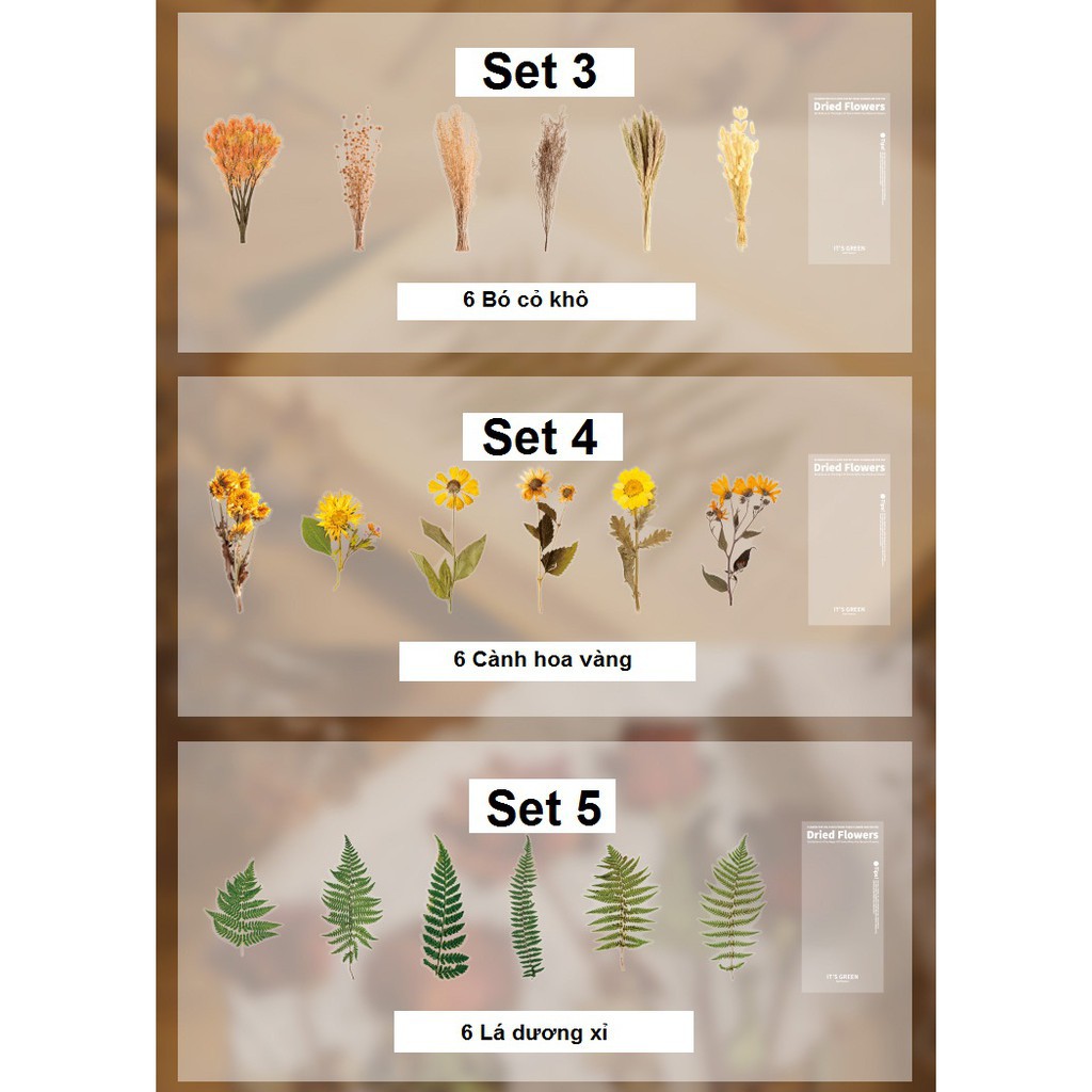 STICKER Hoa, Lá Ép Khô Trang Trí Set 6 tấm 10x20cm
