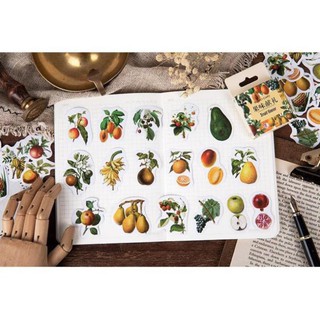 Bộ 45 Sticker Hàn Quốc hình Quả dán trang trí E20